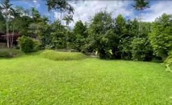 Sanny Park (D11), Detached #568230921